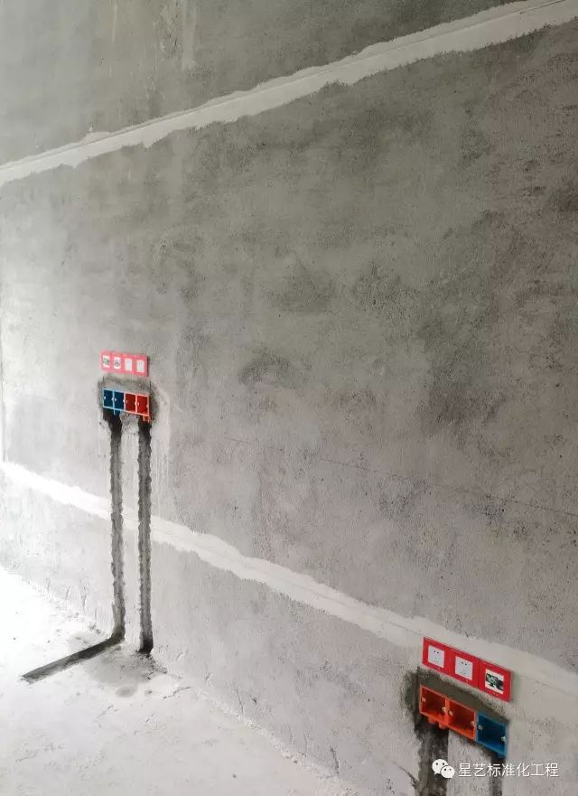 杏盛