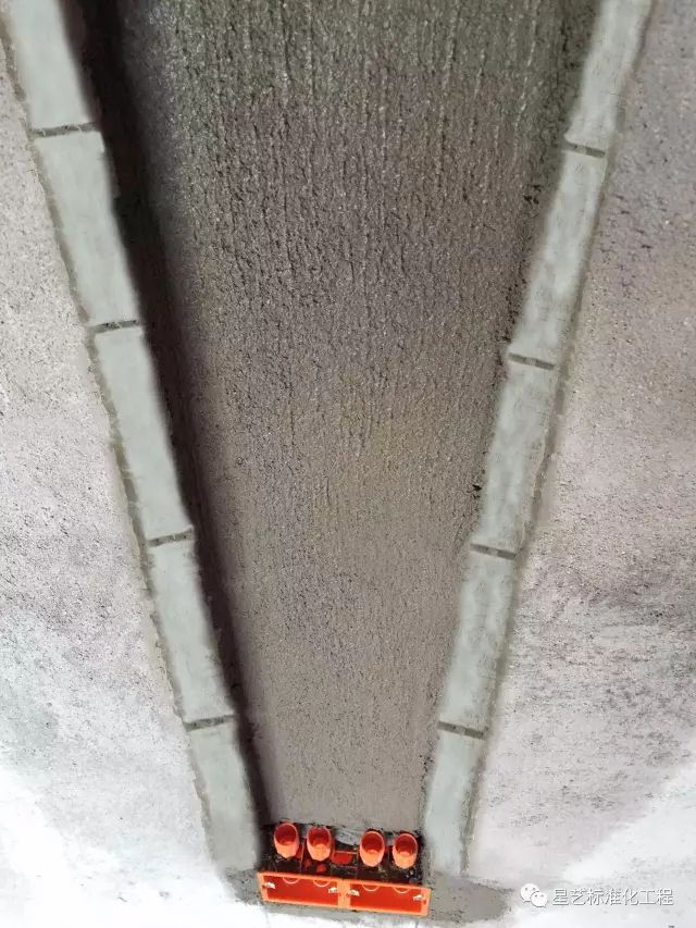 杏盛