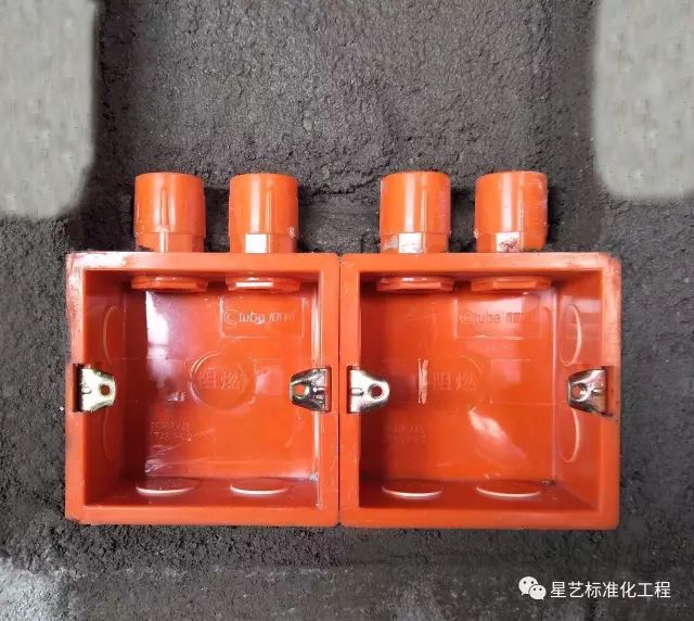 杏盛