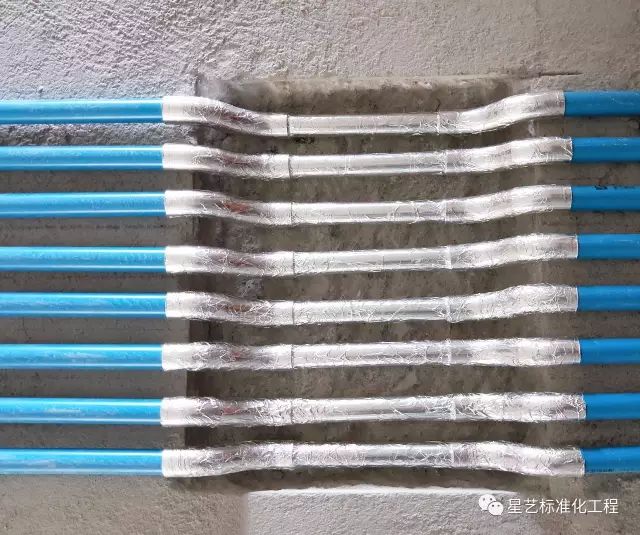 杏盛
