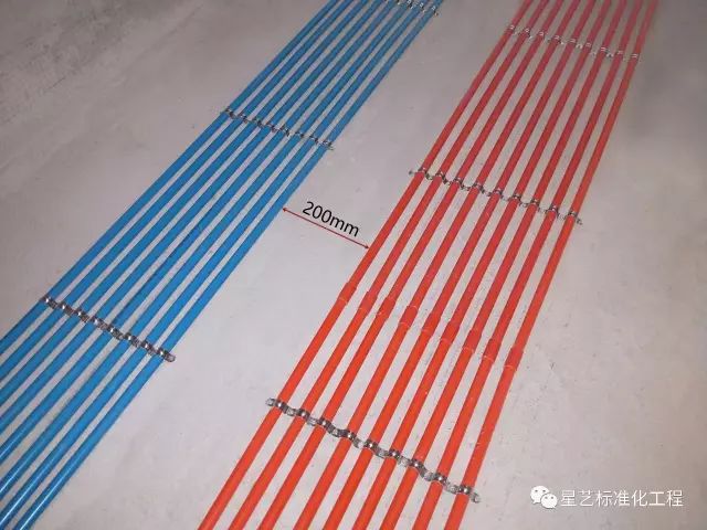 杏盛