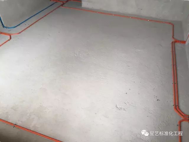 杏盛
