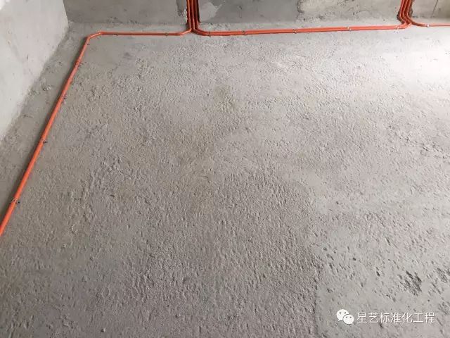 杏盛