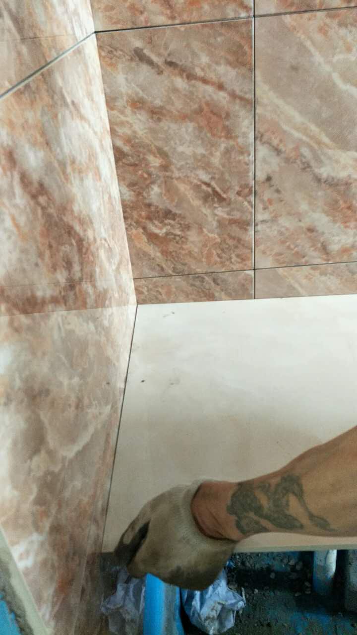 杏盛