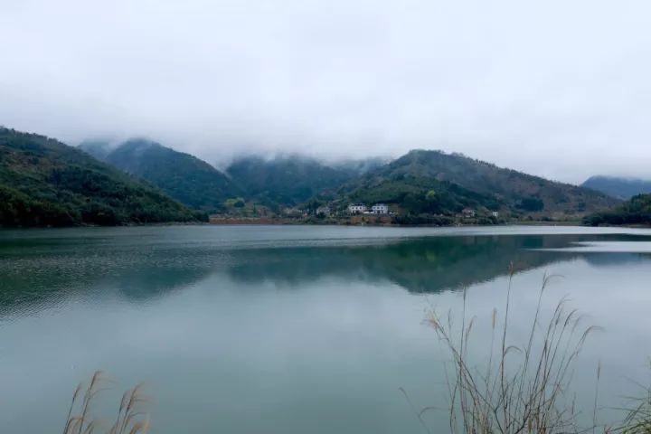 杏盛