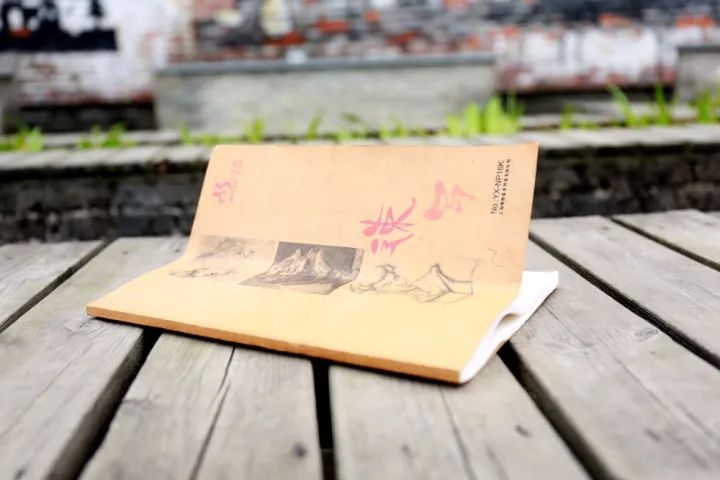 杏盛