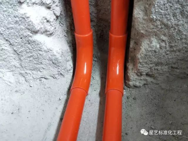 杏盛