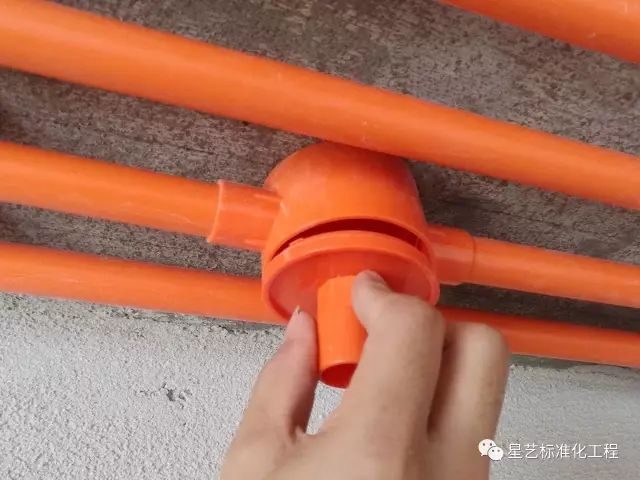 杏盛