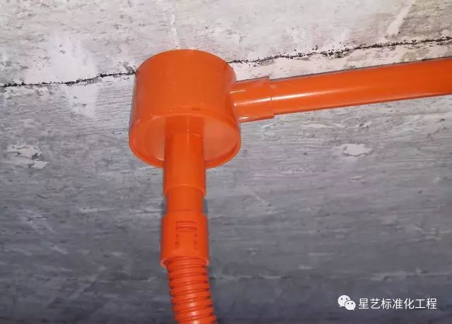 杏盛