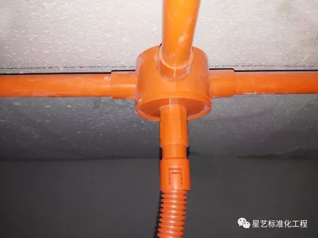 杏盛