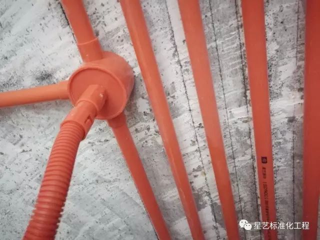 杏盛