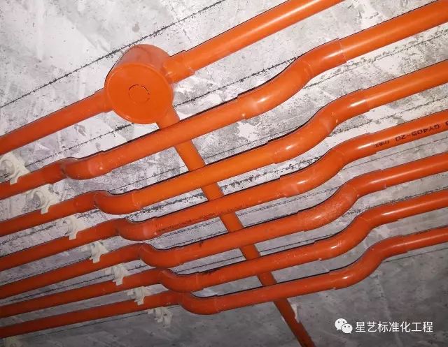 杏盛