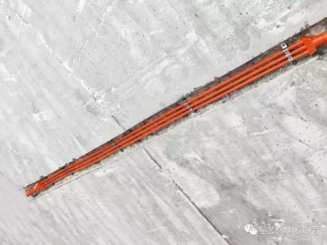 杏盛