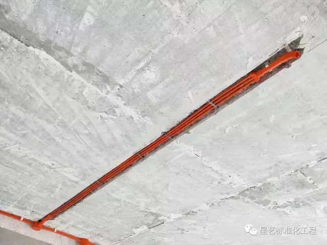 杏盛