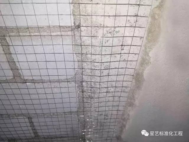 杏盛