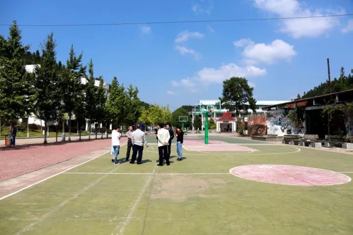 杏盛学院