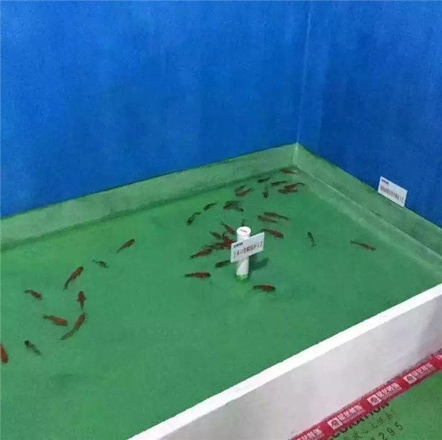 http://njhuacai.com/_xystcdn_/uploadfiles/image/20191126/171da7fdcfaf8b8d669b98a4b54ef2aa.jpg